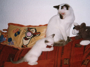 .... Carino 08 / 09 de octubre de 2005