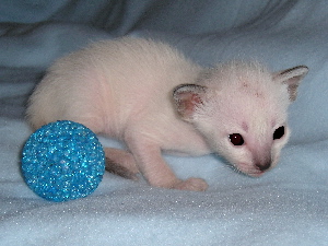 Bonita 2005-05-22
