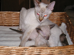 Bacardi with Cleo 2005-06-16