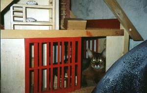 Xmas Hollyday 2003