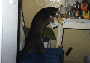 Xmas Hollyday 2003