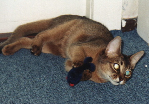 Xmas Hollyday 2003