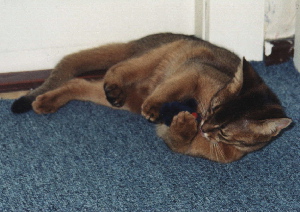 Xmas Hollyday 2003