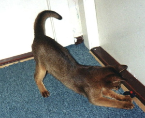 Xmas Hollyday 2003