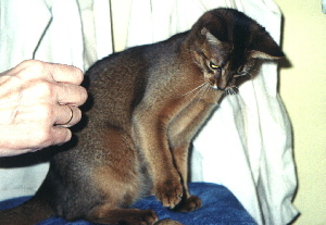 Xmas Hollyday 2003