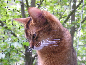 Baileys on 27th of june 2004