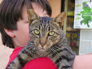 Julian on 2nd of august 2004