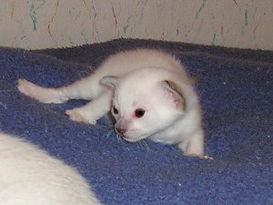 Cari�o 2005-18-09