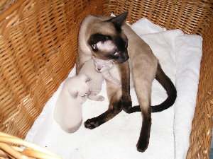 Crispin and Cari�o with dady Bobby-Lee 2005-19-09