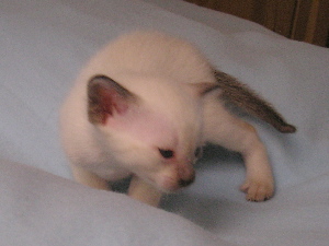 Cari�o 2005-09-25