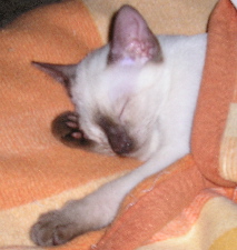 Unter der Decke....