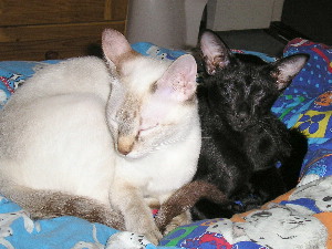 Tinky mit Cleo 10.07.2005
