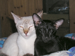 Tinky mit Cleo 10.07.2005