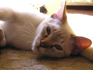 Cleo in march of 2005