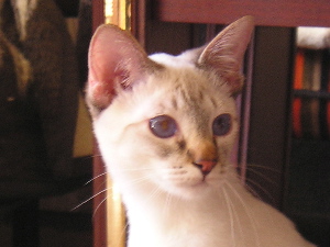 Cleo in march of 2005
