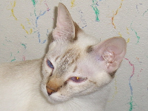 Cleo on 3rd of june 2005