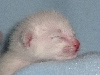 Crispin 2005-09-04
