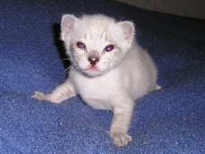 Crispin 2005-18-09