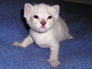 Crispin 2005-18-09