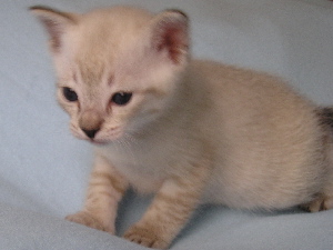 Crispin 2005-09-25