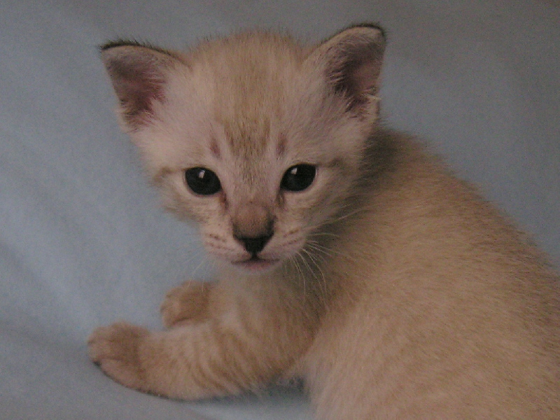 Crispin 2005-09-25