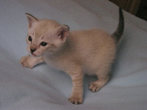 Crispin 2005-09-25