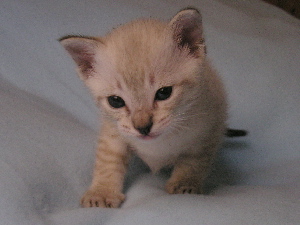 Crispin 2005-09-25