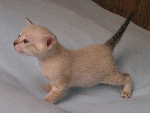 Crispin 2005-09-25