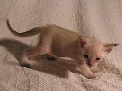 Darwin 17.07.2006