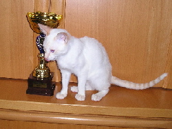 Dimplechen mit seinem Pokal Dimplechen mit seinem Pokal
