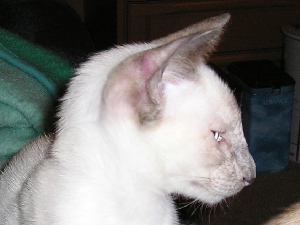 Ginny in may 2004