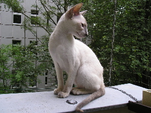 Ginny in june 2004