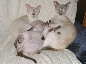 a wonderful mother 20.07.2005