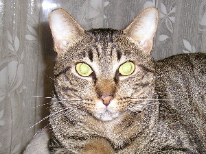 Julian in april 2005