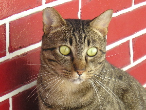 Julian in april 2005