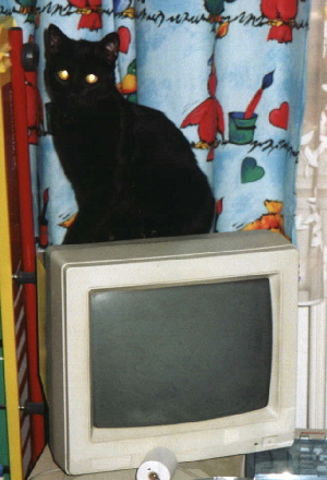 Merlin's Computer winter of 2003/2004