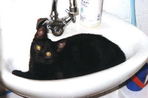 When I'm grown up, I'll need a larger washbasin. Spring of 2004