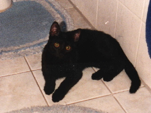 I'm very good! Spring of 2004