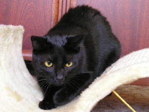 Merlin on 2005-05-16