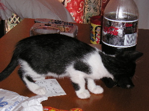 Mmmhhh, Coke