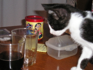 I wonder if I would get a little gulp?