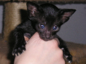 Tinky 26.02.2005