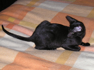Tinky  16.05.05