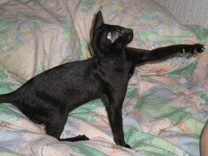 Tinky  16.05.05