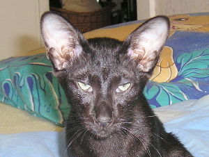 Tinky 03.07.2005
