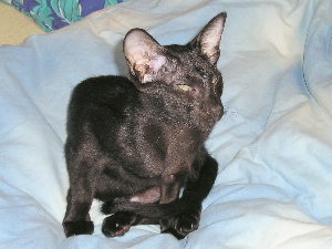 Tinky 03.07.2005