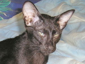 Tinky 03.07.2005