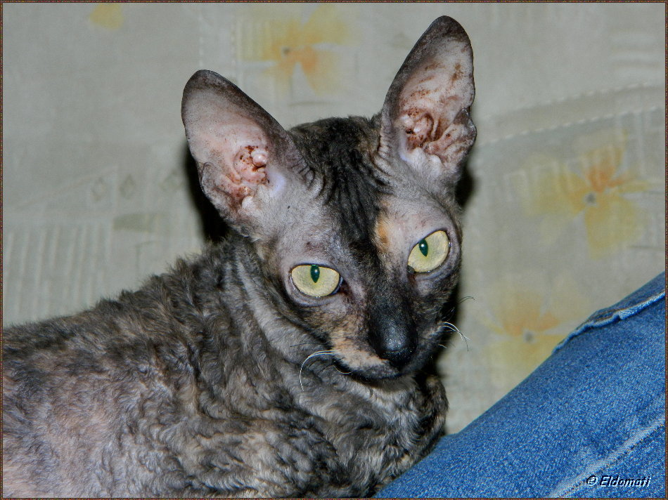 Luna kuschelt mit Tobias