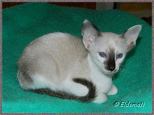 Das ist Josefine Das ist Josefine