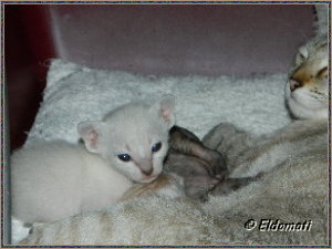 Fiona mit ihrem Baby Fiona mit ihrem Baby